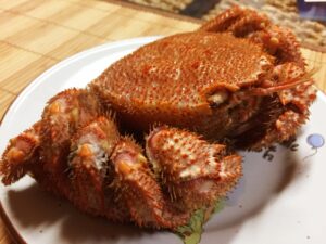 美味しい毛ガニの茹で方