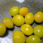 レンジで簡単~おつまみ ぎんなん~(殻むき)