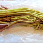 ワラビ採ったら、塩漬けにして保存しましょう。