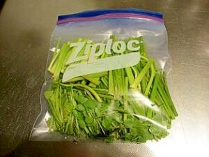 セリの冷凍保存