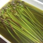 簡単！わらびのあく抜き