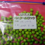 グリンピースの冷凍保存