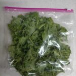 ケールの保存方法☆冷凍