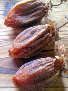 干し柿の作り方