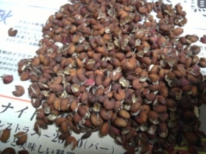 手作り☆自家製粉山椒