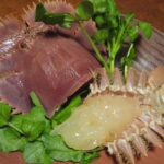 うちわ海老のさばき方