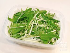 長持ち！水菜の冷蔵、冷凍保存方法