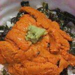 たまには　贅沢うに丼