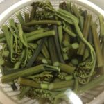 苦い!失敗したワラビのアク抜きリベンジ方法