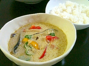 具だくさん☆本格的タイのグリーンカレー