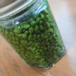 保存用　実山椒の塩漬け