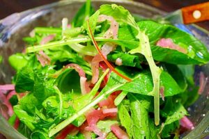 ベビーリーフと紫玉ねぎのサラダ