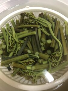 苦い！失敗したワラビのアク抜きリベンジ方法